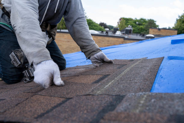 Best Roof Repair Services  in Lake Waynoka, OH