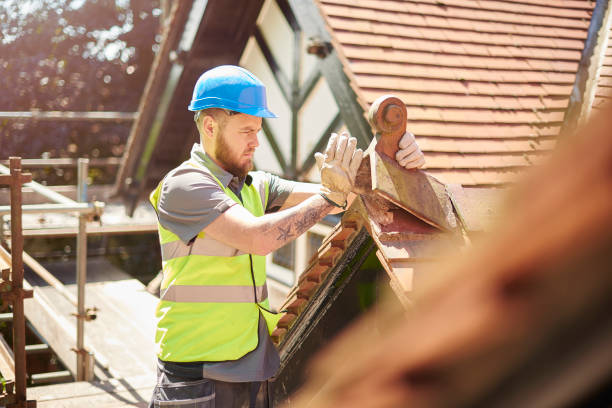 Best Local Roofing Companies  in Lake Waynoka, OH