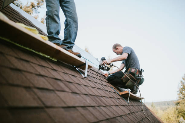 Best Storm Damage Roof Repair  in Lake Waynoka, OH
