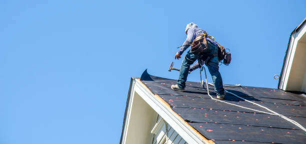Best Gutter Installation and Roofing  in Lake Waynoka, OH